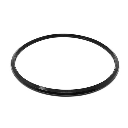 Springer Parts Seal Ring, 4 Inch Unique PMO Plus FPM 9613095122SP